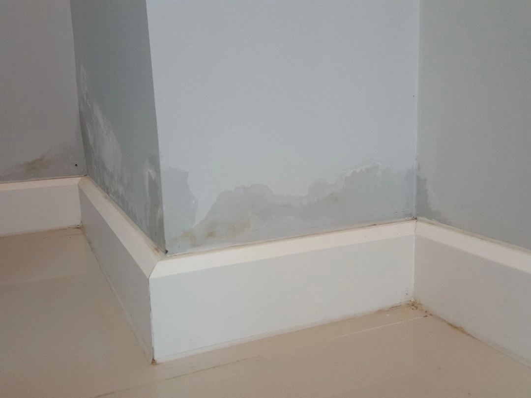 Help With Damp Mould And Condensation - Places For People