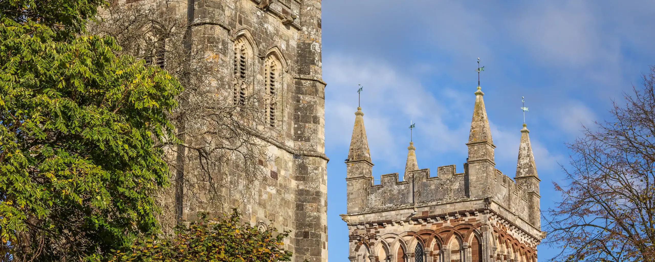 Quarterjackpark Wimborne Local6