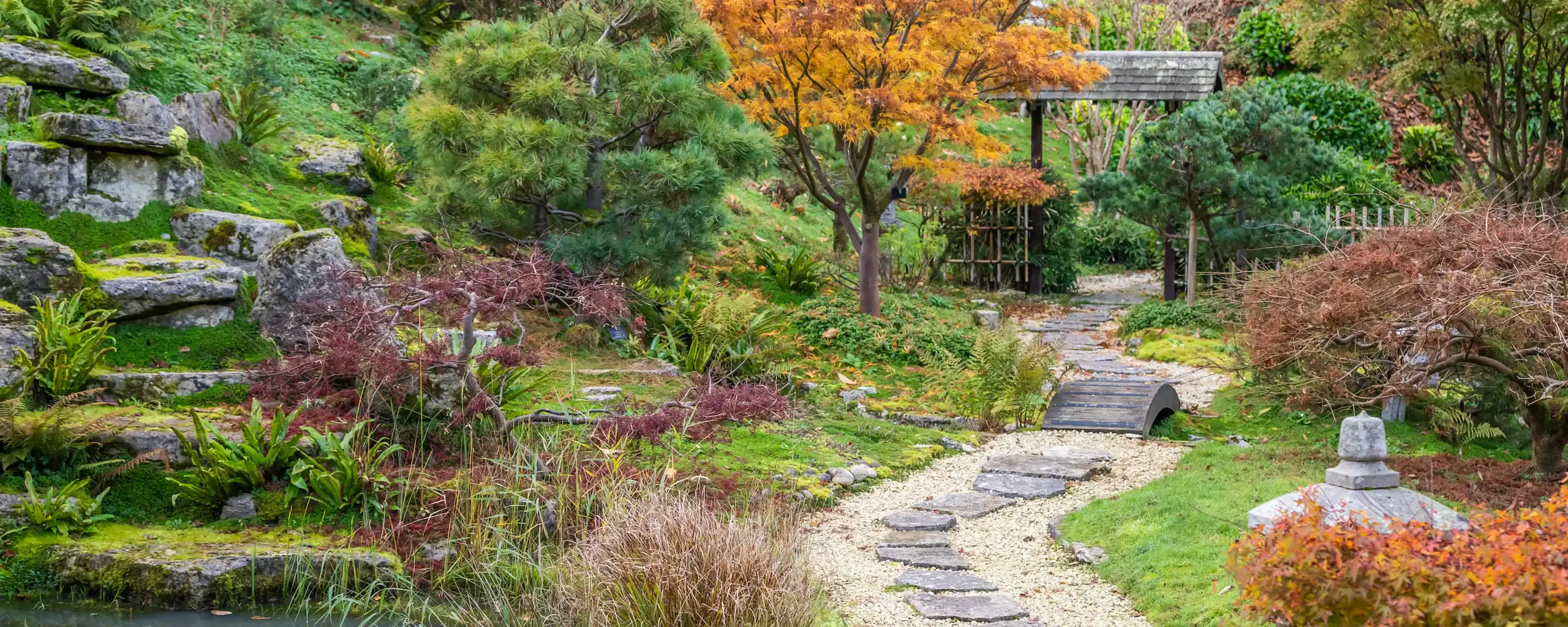 Quarterjackpark Wimborne Park